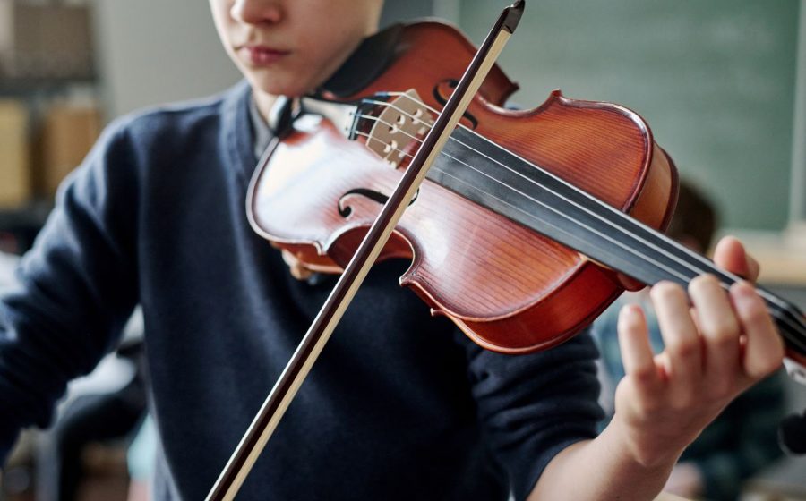 Violina